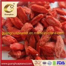 Best Quality Ningxia Organnic Lower Pesticide Good Fragrance Dried Goji Berry